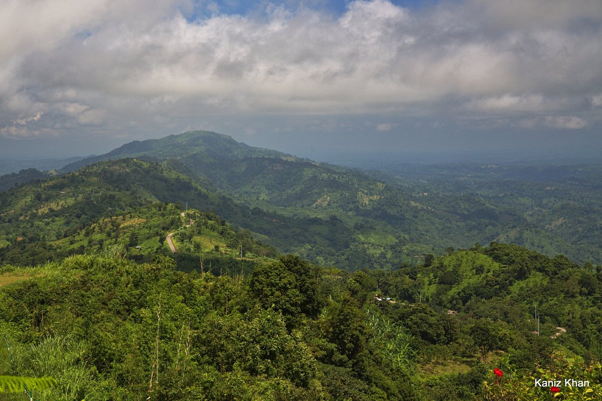 Bandarban Hills & Nilgiri