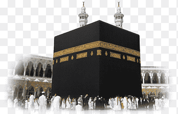 vission Image